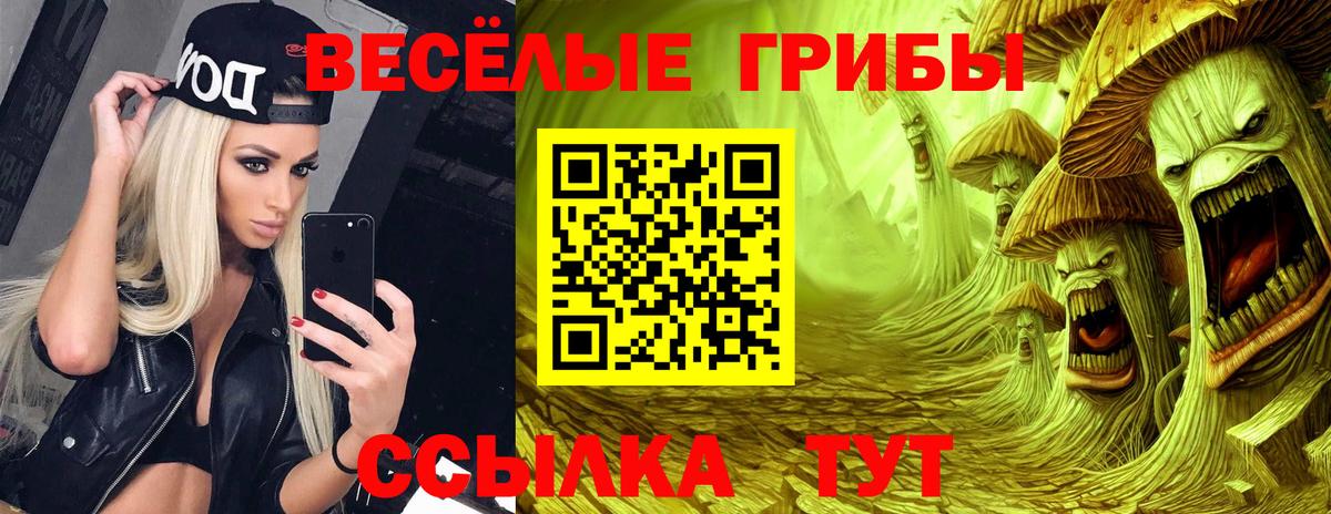 Псилоцибиновые грибы мицелий  Вход с VPN  сколько стоит  Саранск 